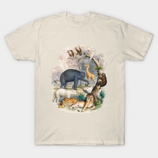 Wild Animals Vintage Illustration Lion Tiger Elephant Vulture Giraffe T-Shirt